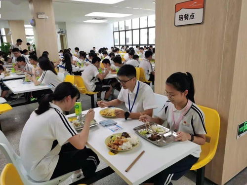 以歌舞为翼，提升餐饮服务品质，共筑校园幸福生活